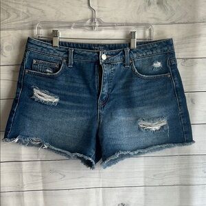 Time and Tru dark wash distressed denim shorts